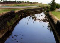 Canal in the Georges River catchment