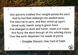 Vast glaciers...